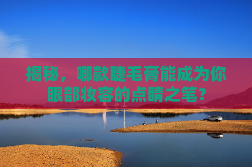 揭秘，哪款睫毛膏能成为你眼部妆容的点睛之笔？