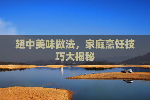 翅中美味做法，家庭烹饪技巧大揭秘