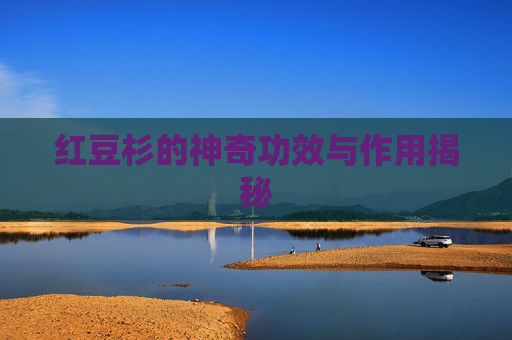 红豆杉的神奇功效与作用揭秘 红豆杉的神奇功效与作用揭秘