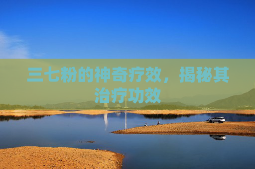 三七粉的神奇疗效，揭秘其治疗功效