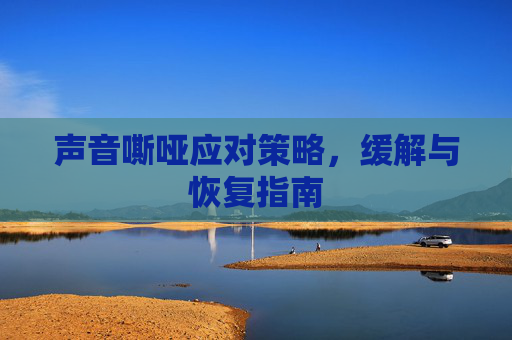 声音嘶哑应对策略，缓解与恢复指南