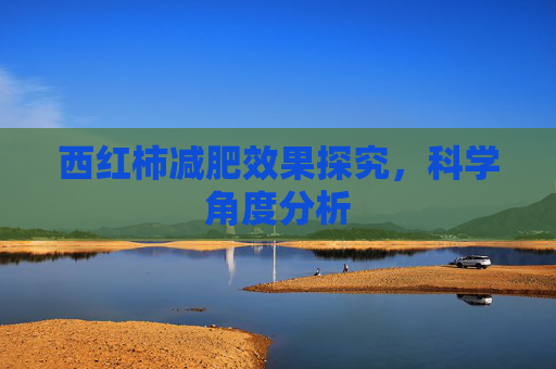 西红柿减肥效果探究，科学角度分析
