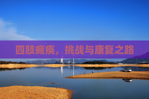 四肢瘫痪，挑战与康复之路
