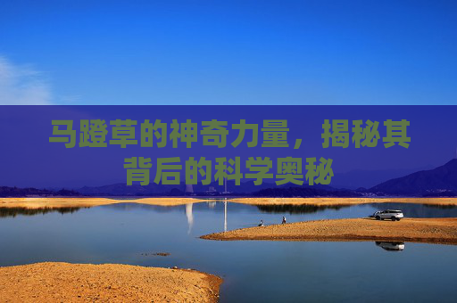 马蹬草的神奇力量，揭秘其背后的科学奥秘