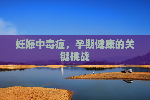 妊娠中毒症，孕期健康的关键挑战