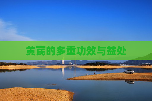 黄芪的多重功效与益处