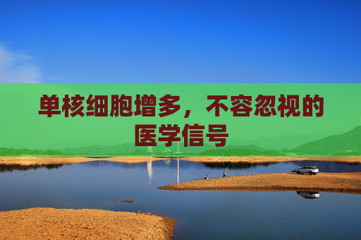 单核细胞增多，不容忽视的医学信号