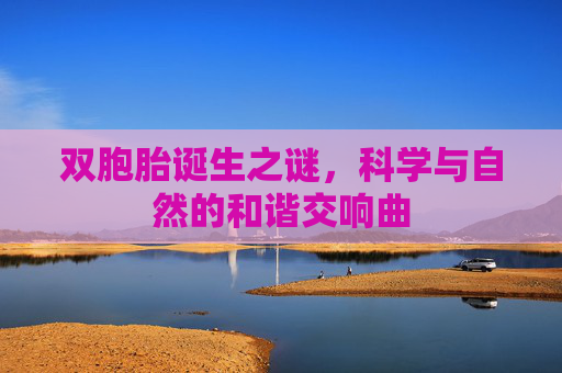 双胞胎诞生之谜，科学与自然的和谐交响曲