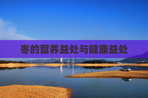 枣的营养益处与健康益处