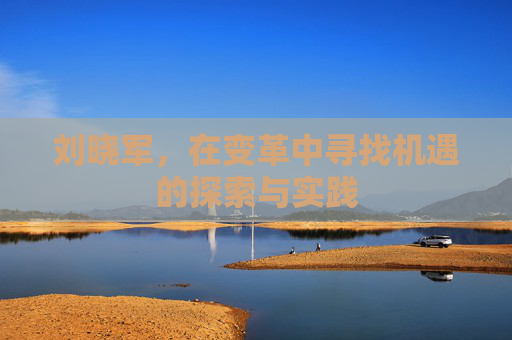 刘晓军，在变革中寻找机遇的探索与实践