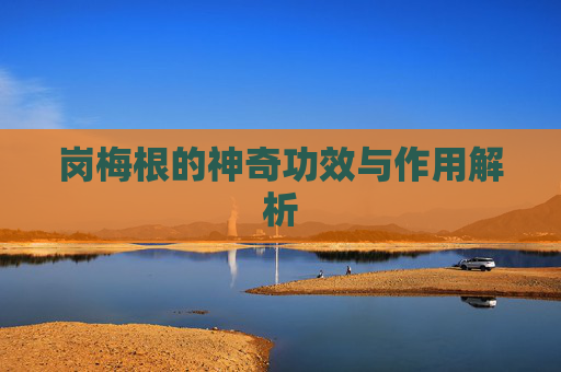 岗梅根的神奇功效与作用解析