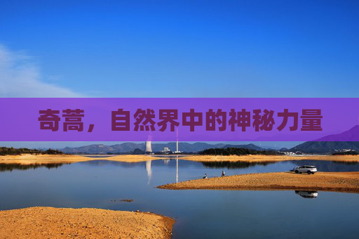 奇蒿，自然界中的神秘力量
