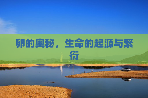 卵的奥秘，生命的起源与繁衍