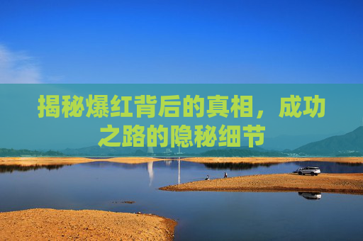 揭秘爆红背后的真相，成功之路的隐秘细节