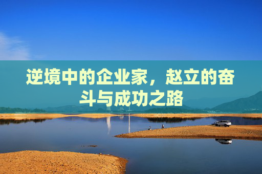 逆境中的企业家,赵立的奋斗与成功之路 逆境中的企业家,赵立的奋斗与成功之路