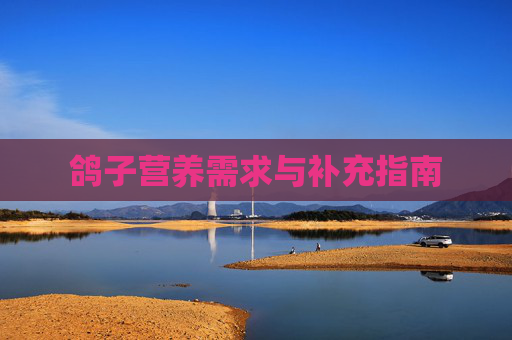 鸽子营养需求与补充指南