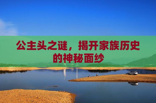 公主头之谜，揭开家族历史的神秘面纱