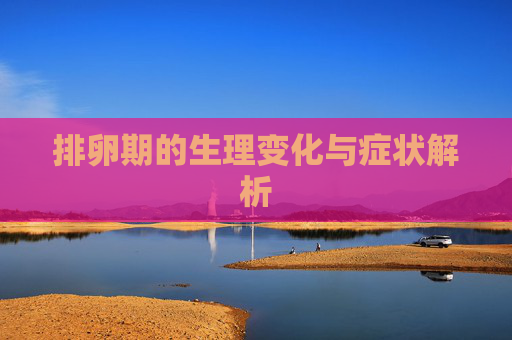 排卵期的生理变化与症状解析