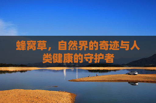 蜂窝草，自然界的奇迹与人类健康的守护者