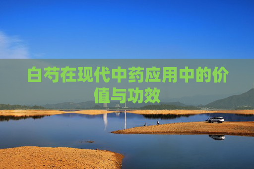 白芍在现代中药应用中的价值与功效