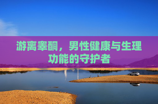 游离睾酮，男性健康与生理功能的守护者