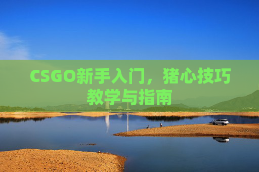 CSGO新手入门，猪心技巧教学与指南