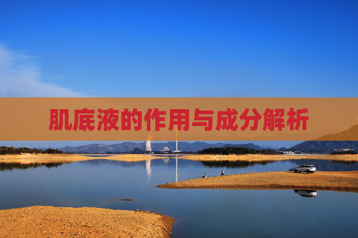 肌底液的作用与成分解析 肌底液的作用与成分解析