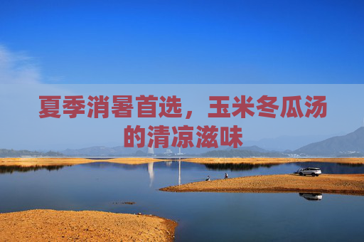 夏季消暑首选，玉米冬瓜汤的清凉滋味