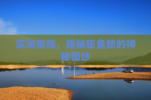 深海奇观，揭秘膨鱼鳃的神秘面纱
