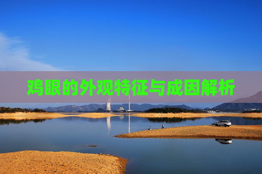 鸡眼的外观特征与成因解析
