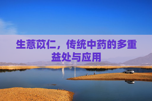 生薏苡仁，传统中药的多重益处与应用