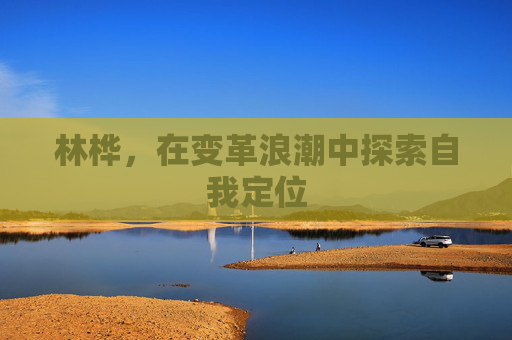林桦，在变革浪潮中探索自我定位