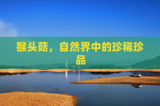 猴头菇，自然界中的珍稀珍品