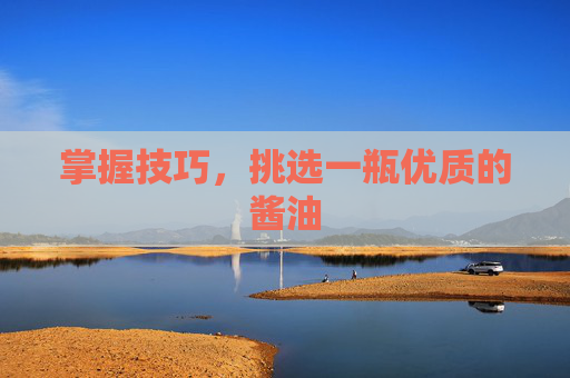 掌握技巧，挑选一瓶优质的酱油