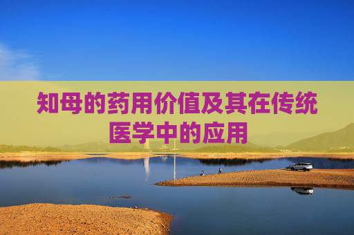 知母的药用价值及其在传统医学中的应用
