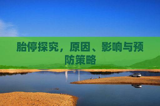 胎停探究，原因、影响与预防策略