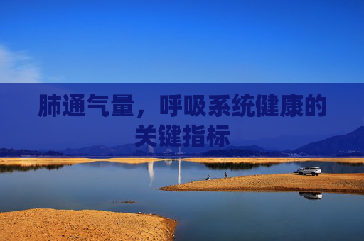 肺通气量，呼吸系统健康的关键指标
