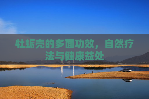 牡蛎壳的多面功效，自然疗法与健康益处