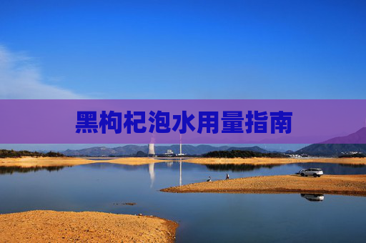 黑枸杞泡水用量指南