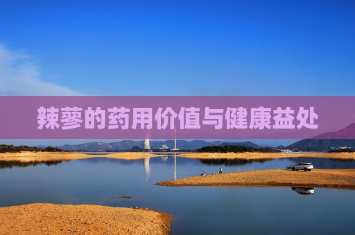 辣蓼的药用价值与健康益处