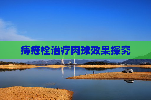 痔疮栓治疗肉球效果探究