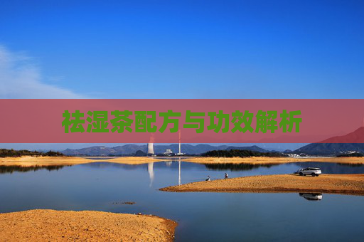 祛湿茶配方与功效解析