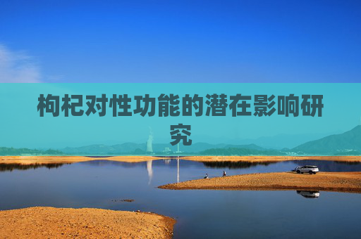 枸杞对性功能的潜在影响研究