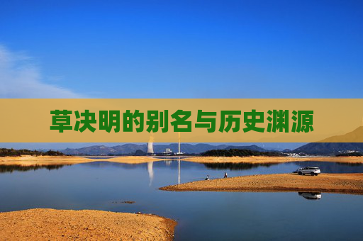 草决明的别名与历史渊源