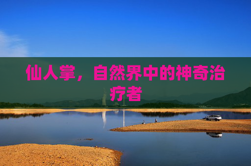 仙人掌,自然界中的神奇治疗者 仙人掌,自然界中的神奇治疗者