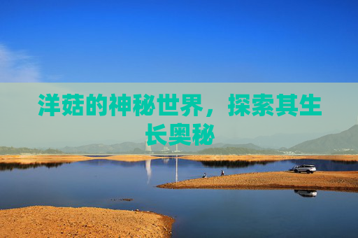 洋菇的神秘世界，探索其生长奥秘