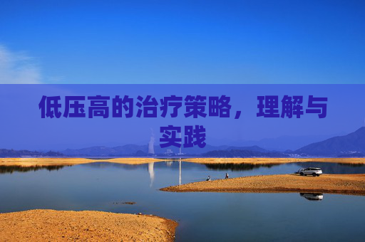 低压高的治疗策略，理解与实践
