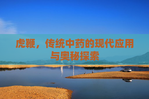 虎鞭，传统中药的现代应用与奥秘探索