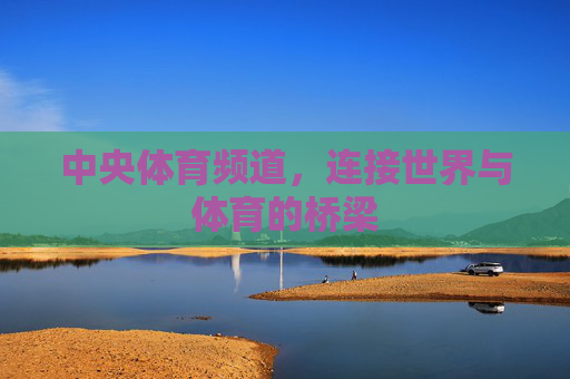 中央体育频道，连接世界与体育的桥梁