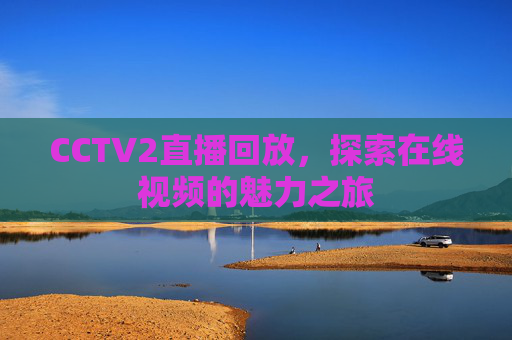 CCTV2直播回放，探索在线视频的魅力之旅